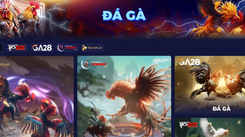 Sảnh Đá Gà Tin88 hợp tác với loạt nhà cung cấp game hàng đầu châu Á